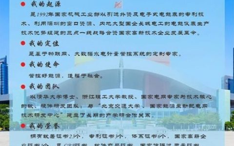 国企电表公司排名前十(中国十大电表排名)