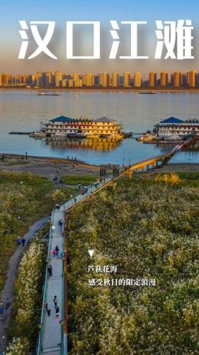 长江最美公园排名前十(长江湿地公园)插图4