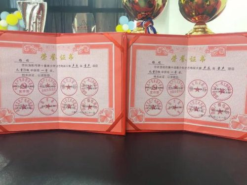 洛阳声乐教授排名前十(中国最厉害声乐老师)插图6