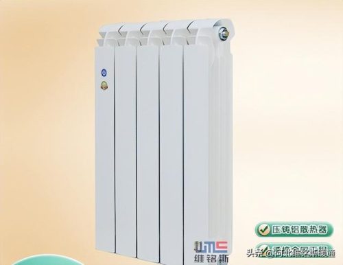 压铸铝暖气片(暖气片)插图2
