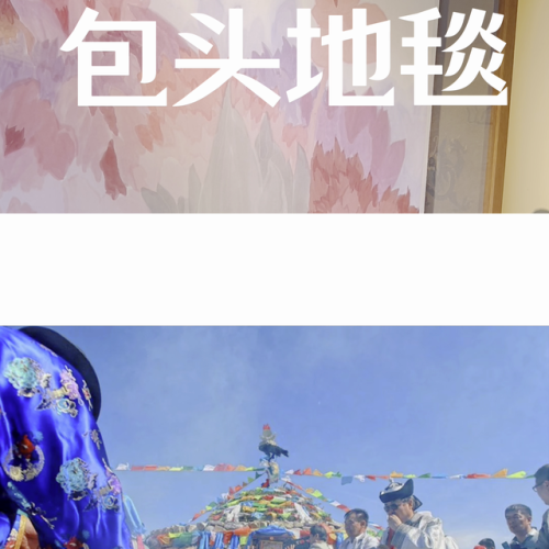 地毯定制机构排名前十(广西高绒地毯定制价格)插图2