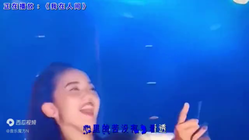 等到天边月亮入睡什么歌(轻轻的拉着你的手是什么歌名)插图5