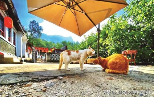 山西溶洞景观排名前十(山西溶洞排名一览表)插图18