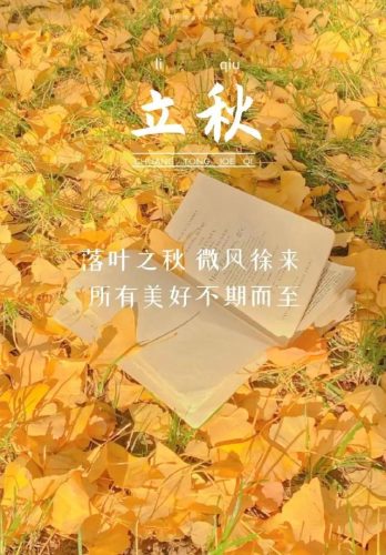 立秋图片大全高清(一叶知秋图片)插图18