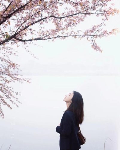 成都适合拍照的地方(成都拍照圣地)插图13