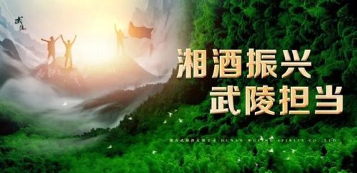 湖南进口酒商排名前十(湖南省名酒白酒排行榜)插图7