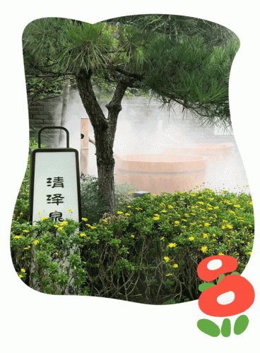 56红人汇(一号红人mp3)插图24