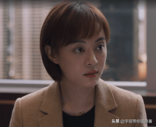 理想之城 电视剧(理想之城吴红玫结局)插图