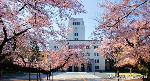 排名前十的日本留学(千叶大学)插图3