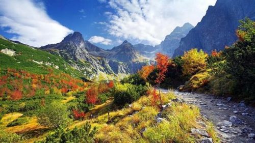 波兰旅游公园排名前十(波兰十大旅游景点图片)插图8