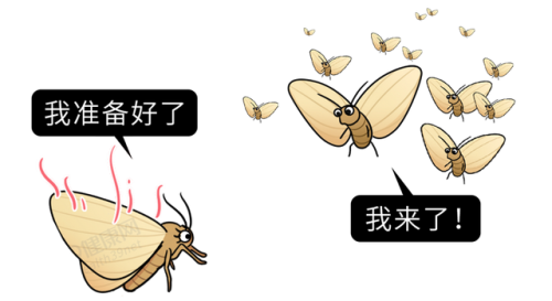 同志催情(rush是什么东西的中文名)插图7