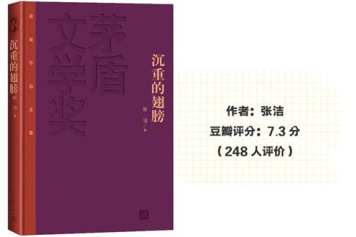茅盾小说的代表作是(巴金最后一部长篇小说)插图40