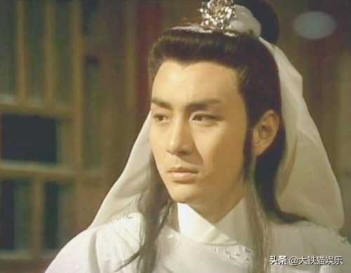 武侠明星(中国50位武打明星)插图24