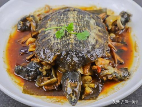 甲鱼怎么样做才好吃(甲鱼怎么炖最有营养)插图