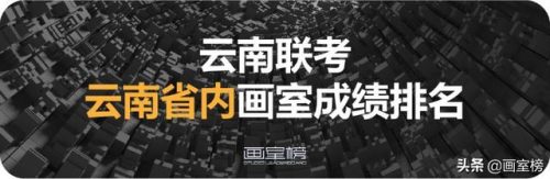 昆明艺考排名前十(昆明艺考培训机构有哪些)插图3