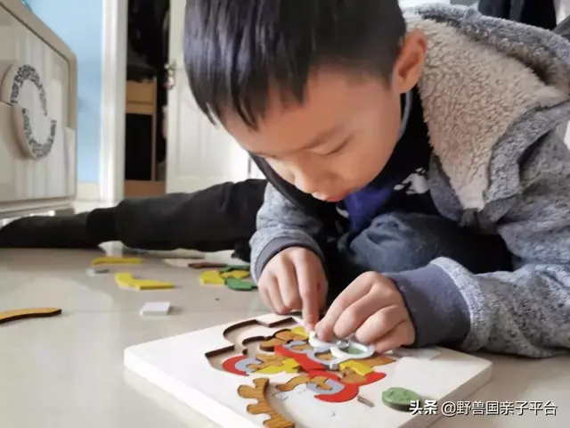 拼图最强品牌排名前十(最强大脑14巧板拼图法)插图40