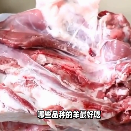 最好品种母羊排名前十(十只母羊一年繁殖多少)插图