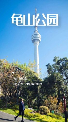 长江最美公园排名前十(长江湿地公园)插图6