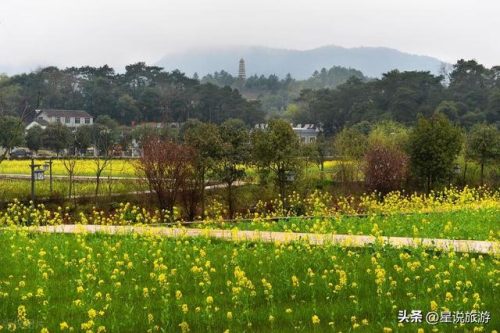 湖南前十县排名2015(湖南十大县面积排名)插图14