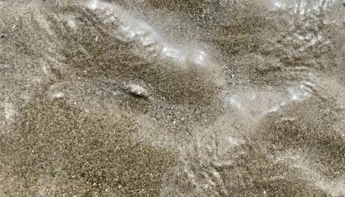 上海碧海金沙好玩吗(上海碧海金沙景区门票多少钱)插图4