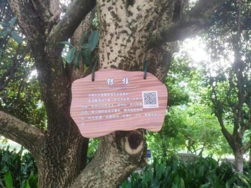 桂林山水职业学院(桂林山水职业学院怎么样)插图6