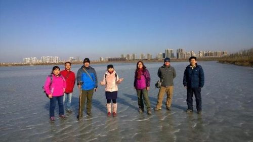 东丽湖度假村(东丽湖度假村值得买吗)插图2