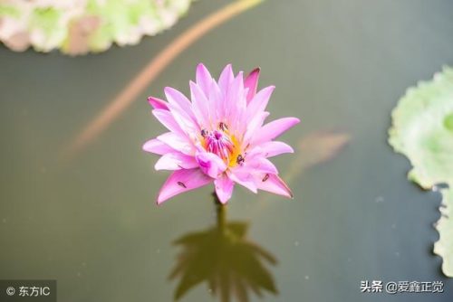 佛教三世因果文(三世因果修桥补路)插图1