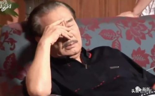 搞笑一家人2演员表(海丽和新爱的扮演者)插图19