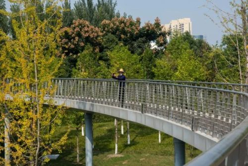 成都适合拍照的地方(成都拍照圣地)插图25