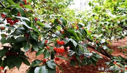 西昌游玩项目排名前十(西昌发射中心游玩攻略)插图9
