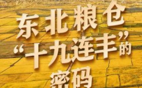 东北十大粮库排名前十(东北十大顶级企业)
