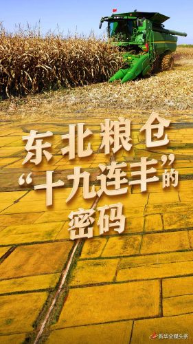 东北十大粮库排名前十(东北十大顶级企业)插图