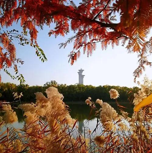 北京最差景区排名前十(北京十大差评景区排名)插图3