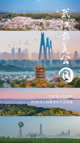长江最美公园排名前十(长江湿地公园)插图