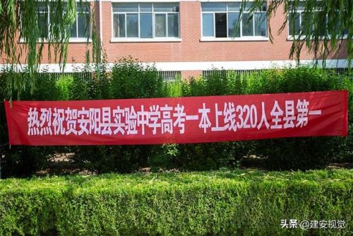 安阳军训排名前十小学(安阳最差的小学排名)插图7