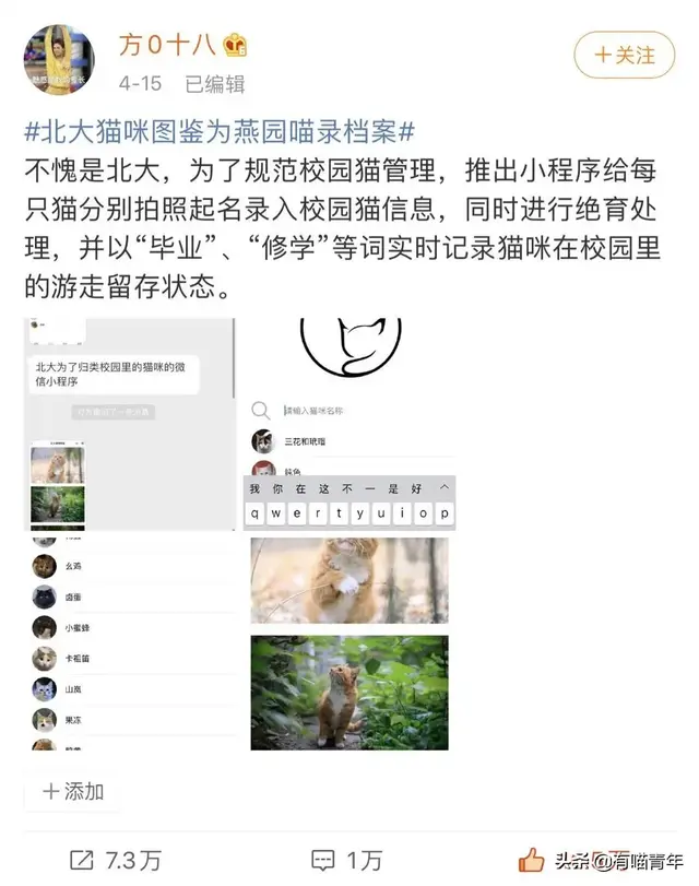 北大虐猫(北京大学学生流浪猫关爱协会)插图2