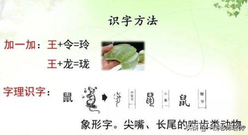 铃组词拼音(铃的多音字有哪些)插图5