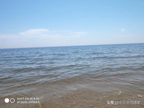 昌黎的黄金海岸(昌黎时代海岸业主)插图8