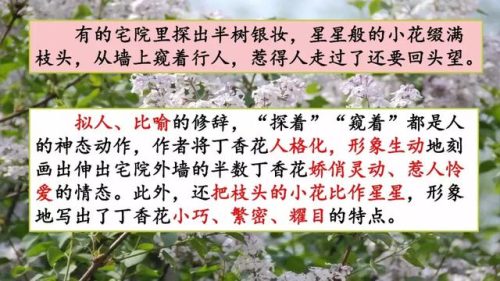 霜树尽空枝肠断丁香结(芭蕉不展丁香结同向春风各自愁)插图25