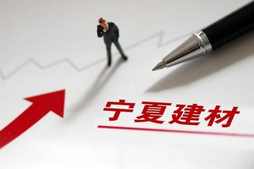 宁夏优势行业排名前十(银川十大产业)插图2