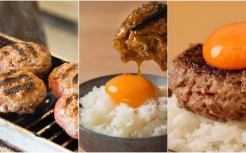 日本烤炉品种排名前十(日本最具人气烤箱)