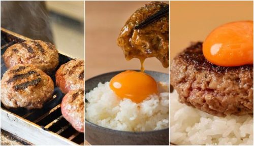 日本烤炉品种排名前十(日本最具人气烤箱)插图