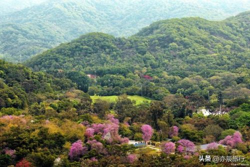 华南好玩地方排名前十(华南好玩的地方推荐)插图2