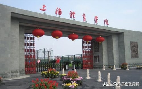 体育教育机构排名前十(体育教育机构估值)插图1