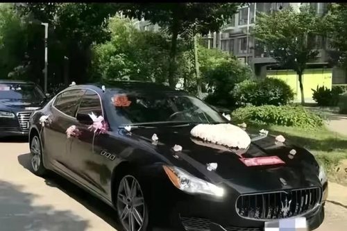洛阳婚礼行业排名前十(洛阳婚礼主持人排行榜)插图1