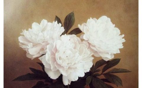 静物油画(风景油画)