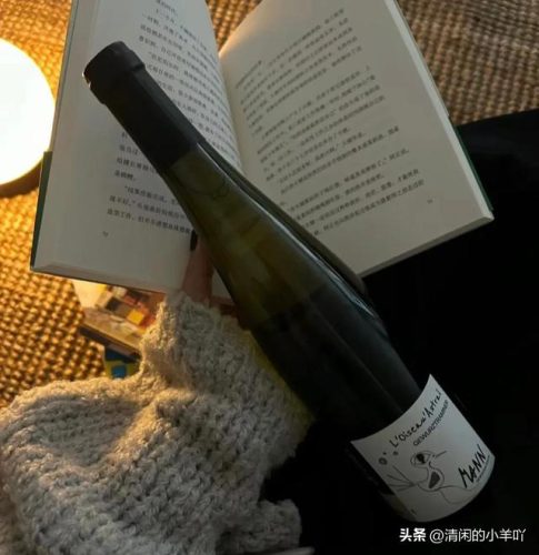 我们都要好好的歌词(我们都要好好的歌)插图5