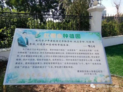 建湖县森达小学(建湖县森达集团朱湘桂)插图26