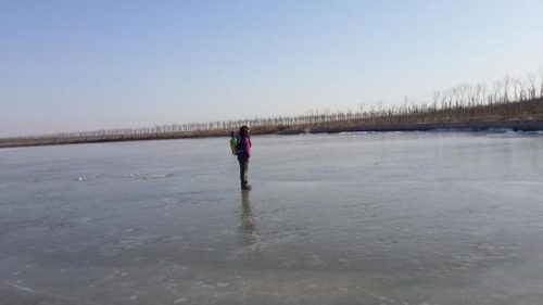 东丽湖度假村(东丽湖度假村值得买吗)插图30
