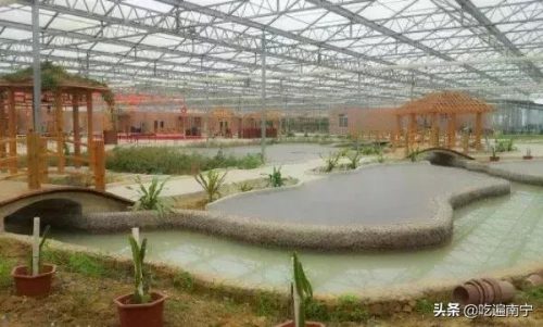 南宁好看农庄排名前十(南宁四塘学雍自然农庄)插图10